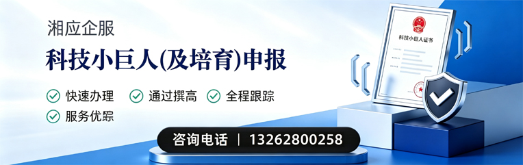 承德科技小巨人及培育企业申报服务