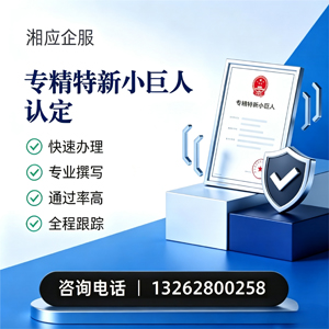 承德专精特新小巨人申报服务