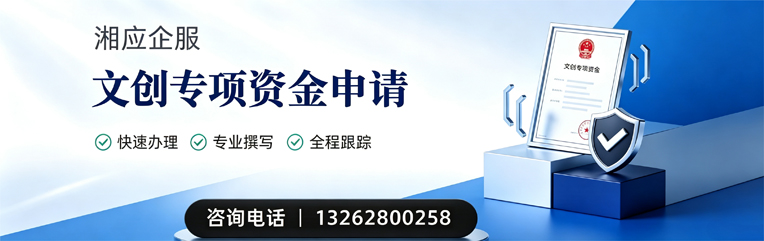 承德文创专项资金申报服务