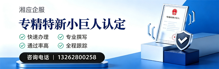 承德专精特新小巨人申报服务